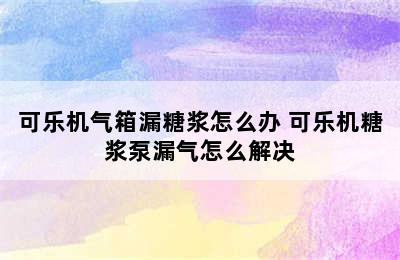 可乐机气箱漏糖浆怎么办 可乐机糖浆泵漏气怎么解决